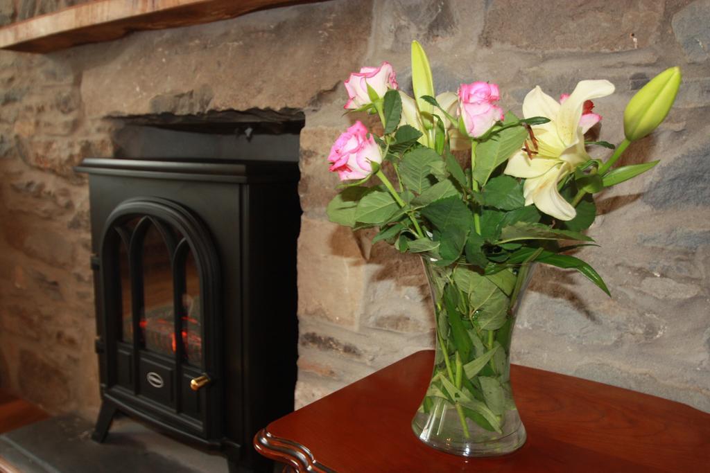 Cob Cottage Tregaron Bagian luar foto